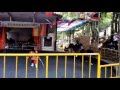 Horse Stunt Flip 1 By Mongolian Horse Circus Troupe