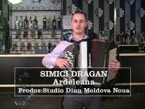 02 Simici Dragan - Ardeleana (2010)