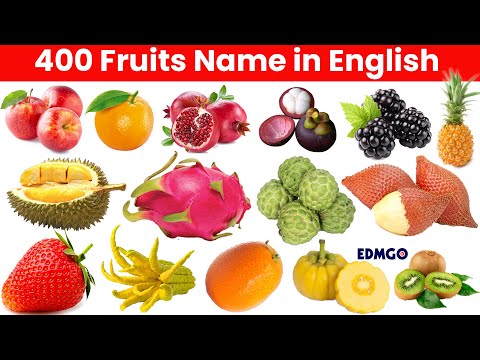 , title : '400 FRUITS NAME IN ENGLISH – THE ENCYCLOPEDIA OF FRUITS'