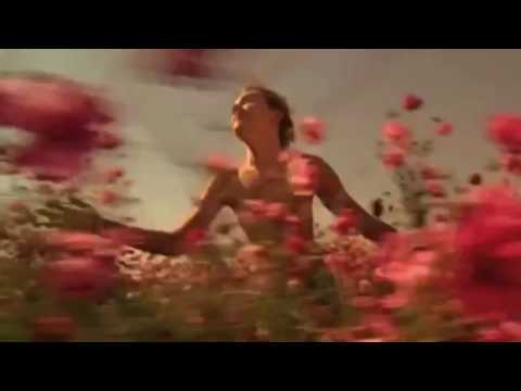 Alunni del Sole - UN RICORDO