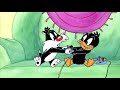 Baby Looney Tunes Dados Perdidos 2