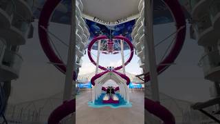Is a short cruise on Utopia of the Seas right for you? Here's the PROS & CONS! #cruise #shorts