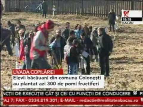 Livada copilariei Realitatea TV