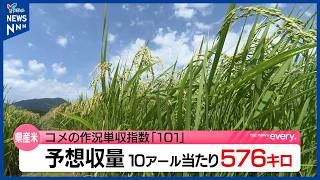 山形県のコメ作柄状況 作況指数101で平年上回るも10アール当たり予想収量は前年実績を下回る