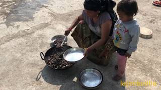 preview picture of video 'gathering for lunch || village food || village life || nepali food || himalayan cultue ||'