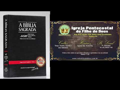 Salmos capítulo 95, 96 (Acf), pequeno comentário Salmos 95, 96 e louvor