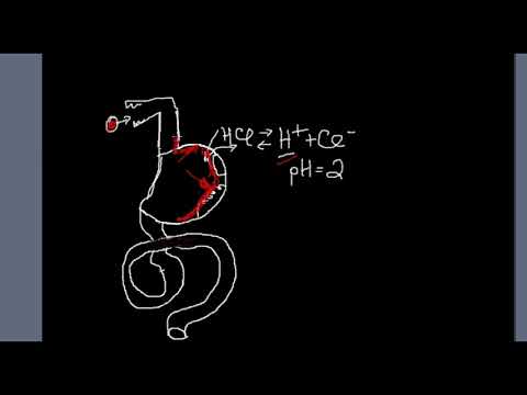 download lagu mp3 mp4 Tomato Acid Reflux, download lagu Tomato Acid Reflux gratis, unduh video klip Tomato Acid Reflux