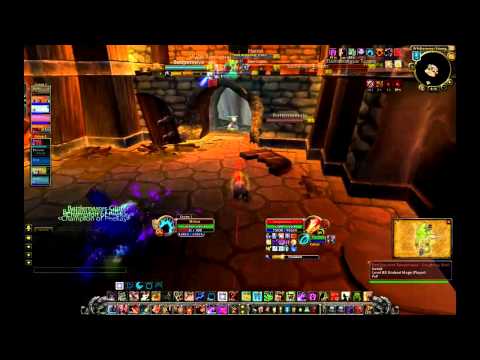 [Gladiator Miirkat] Does it Again!!