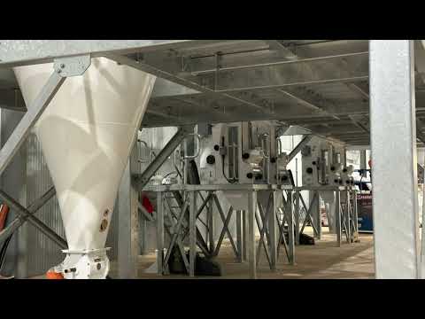 Fava Beans Protein Shifting Plant in Australia (in 30 Secs)