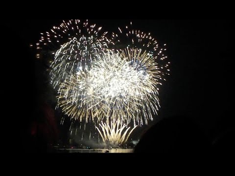 Kirschblüten Feuerwerk Hamburg 2015