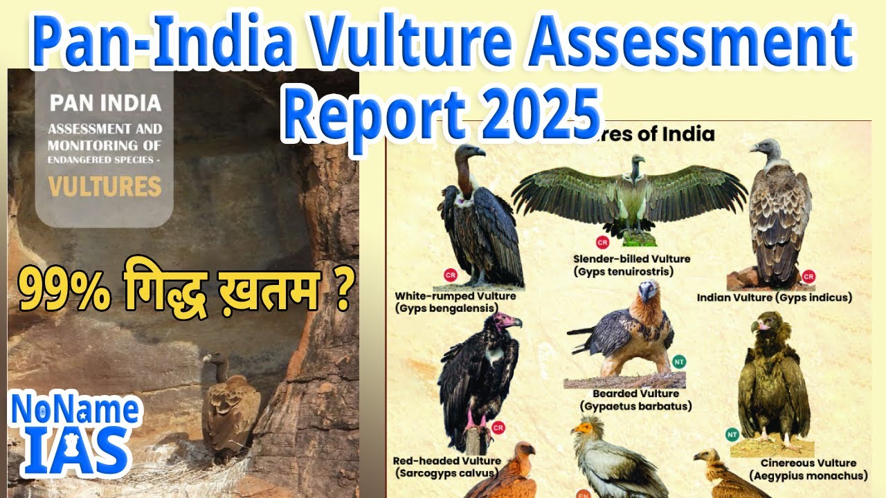 India's First Ever Vulture Census Shocking Report 2025 | Pan India Vulture Assessment Report 2025