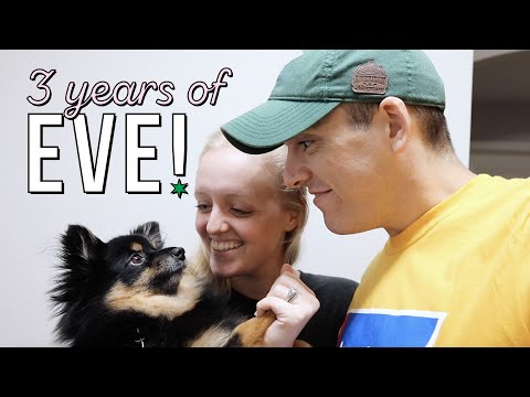 Happy Gotcha Day! | "Becoming" Is Now on Netflix & the Key to Sarah's Heart