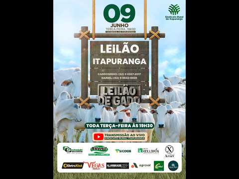 Leilão do Sindicato Rural de Itapuranga -09/06/2026 | Leilão ao Vivo - Leilão de Gado