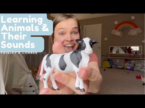 Witness21 Editor  2022 02 21