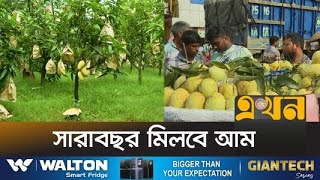 Download lagu আমের এক জাতের রপ্তানি বাজার তিন হাজার কোটি টাকা | Rajshahi News | Rajshahi Mango | Ekhon TV mp3 Download lagu আমের এক জাতের রপ্তানি বাজার তিন হাজার কোটি টাকা | Rajshahi News | Rajshahi Mango | Ekhon TV mp3