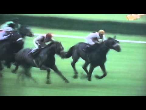 Nagroda Widzowa - 8.06.1997 - Junosza (Who Knows - Jurnea)