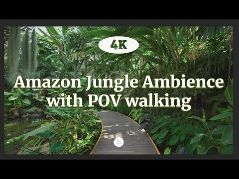 [ASMR] Tropical Rainforest Soundscape 4K | Would you like to walk with me?