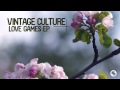 Vintage Culture You Can T Hide Radio Edit