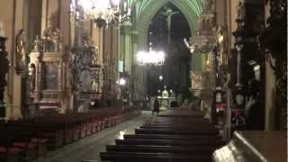 W Krzyżu cierpienie. Katedra Frombork