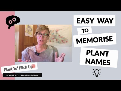 Easy Way to Memorise Plant Names and RECALL them when needed