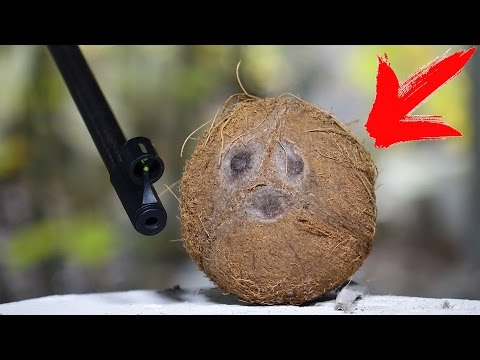 WOULD A COCONUT STOP AN AIR RIFLE PELLET?!? Video