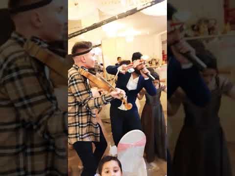 ELVIS - TALLAVA FULL ATMOSFERA ORK POZITIV KO .HANNOVER 08.11.2019 GERMANY ❤