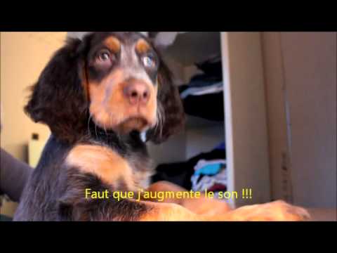 Hooper fan de Lindsey STIRLING - Mission impossible