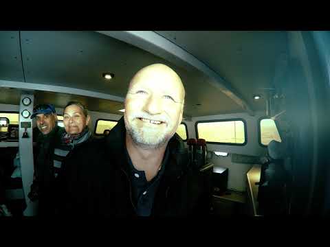 Namibia / Botswana / Simbabwe - Episode 12 - Von Bergen, Wüsten und Seebären