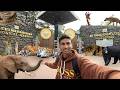 Mysore Zoo Walking Tour Complete Wildlife Experience