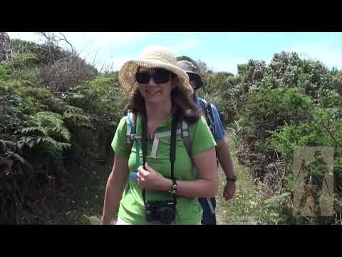 Great Ocean Walk Day 1 170110
