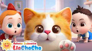 Download lagu Funny Cat at Home 🐱🏡| Cute Cat | Kids Songs | LiaChaCha Indonesian mp3