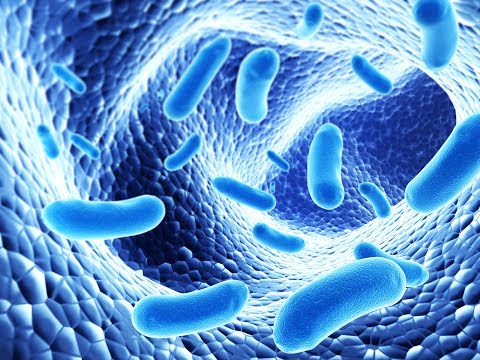 forum pentru tratamentul virusului papilomului uman ce medicamente tratează negii genitali