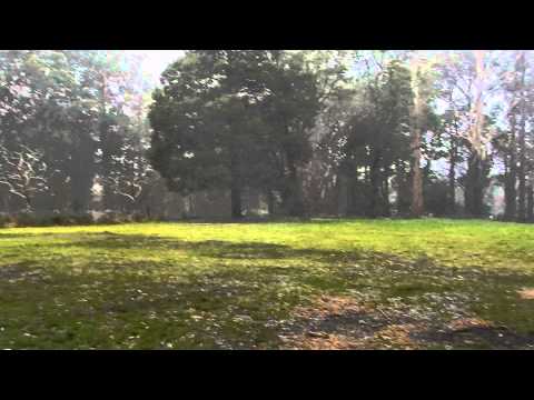 Graupel and snow in Ferny a Creek, Victoria July 26, 2015.