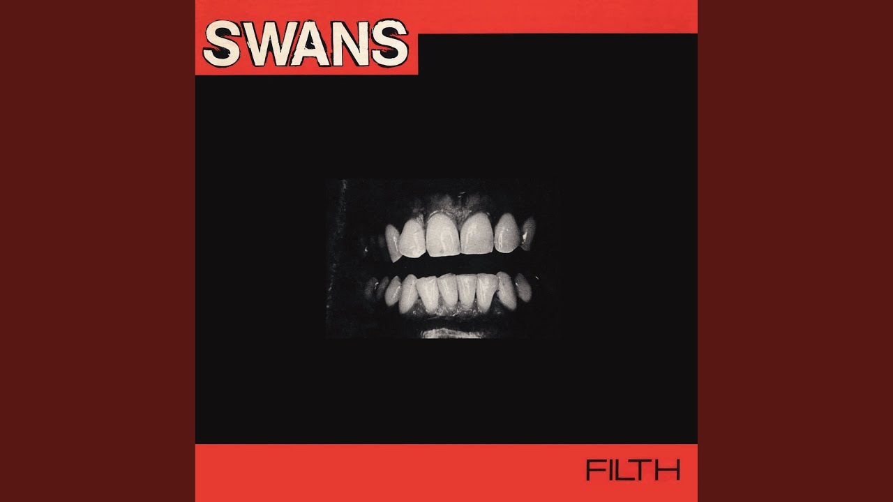 Swans - Sensitive Skin