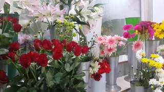 Eve çiçek siparişi lara 05064595872 Açelya çiçek