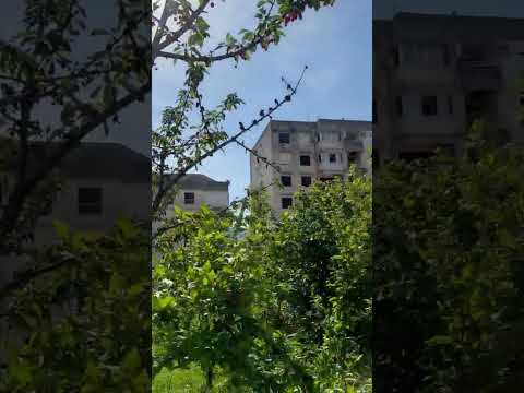 Appartamenti Mikovic, alloggi privati a Herceg Novi, Montenegro - Video