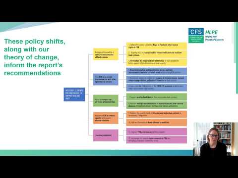 CFS 47 - Food Security and Nutrition:Building a Global Narrative towards 2030 - HLPE Report