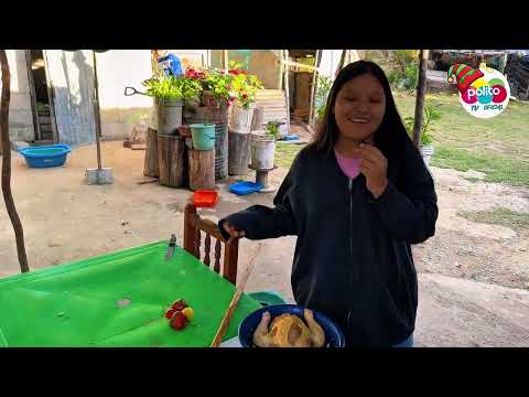 Pollo a la brasa en la comunidad de atumpata Abancay Apurimac 