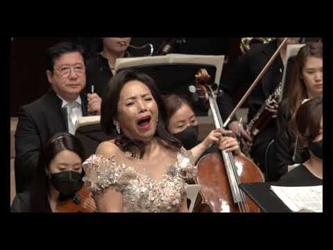 G.Verdi - Rigoletto 중 2막 2중창 Parla, siam soli...Si vendetta