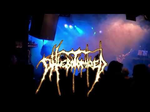 Phlebotomized, cryptic brood, Ecocide. Promovideo.