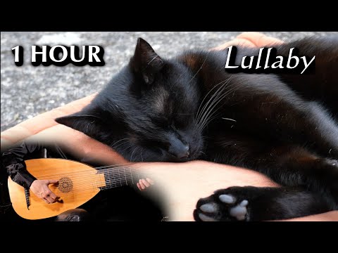 "Lullaby for Cat" Meditation Music on Lute - Nao Sogabe