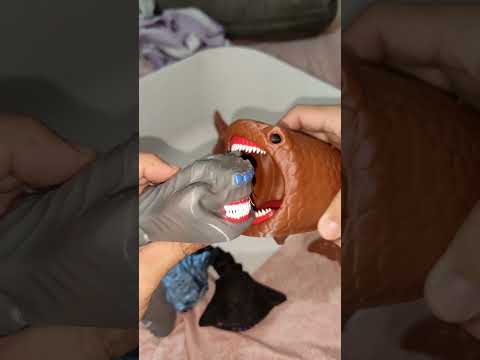 The Bloop vs El Gran Maja #thebloop #elgranmaja #bloopvselgranmaja