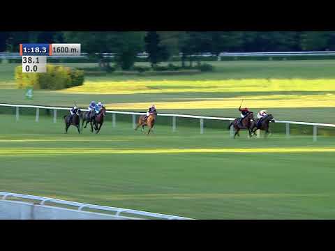 16.08.2020 (D24; G10; Tor: 2,5; 28°C)