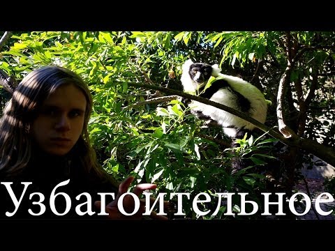 VALEncIA - Узбагоительное