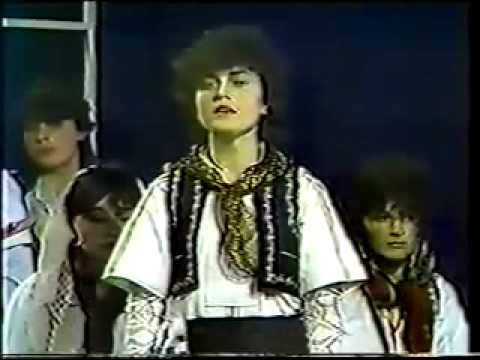 Lirije Sylejmani -  U rrit vasha