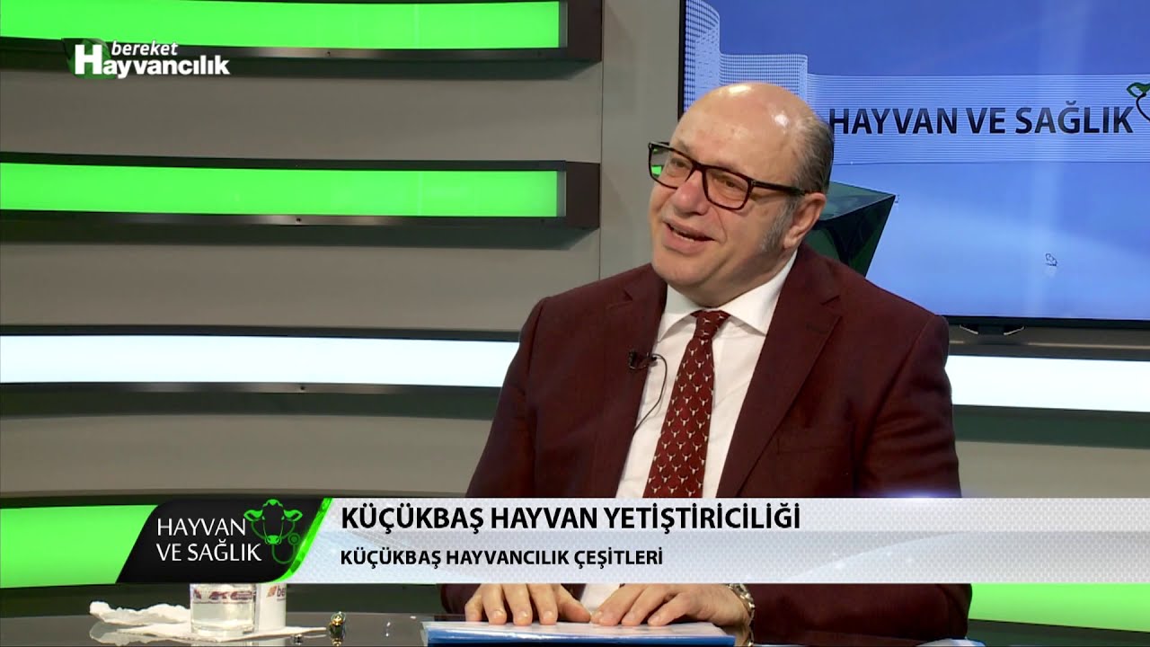 KÜÇÜKBAŞ HAYVAN SAĞLIĞI thumbnail