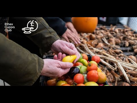 Stockwood CBS Cuppa Club - full version