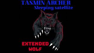 Tasmin Archer - Sleeping satellite - 1992 - Extended Wolf
