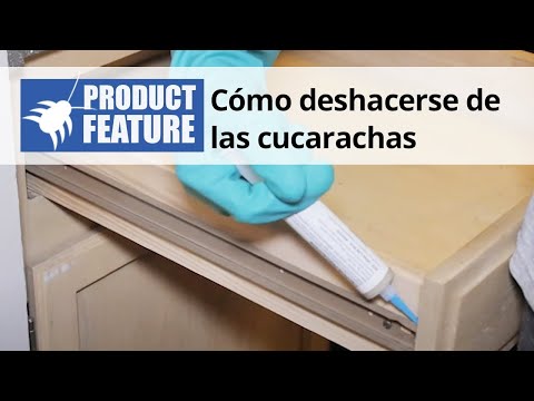  Un programa eficaz de control de cucarachas Video 