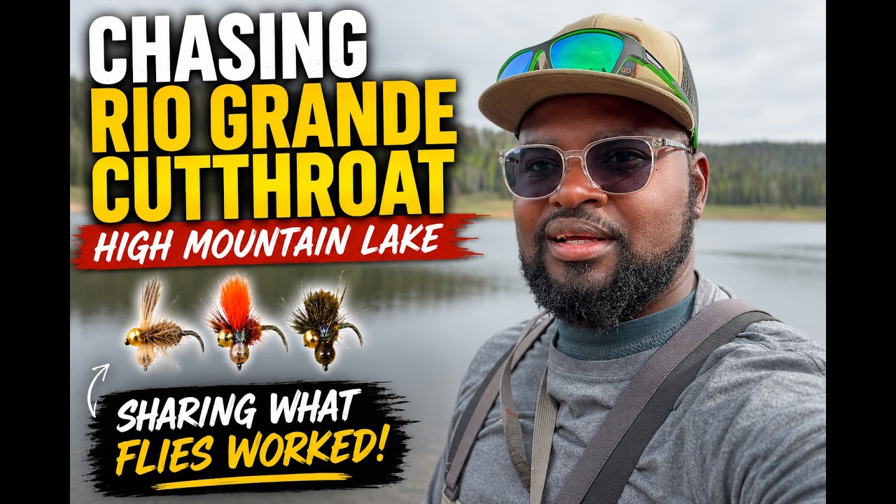 Chasing Native Rio Grande Cutthroat Trout in New Mexico's Backcountry